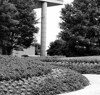 office building exterior windows landscaping